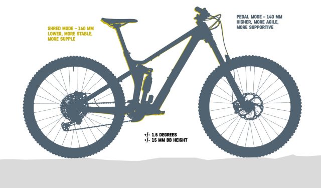 Canyon Strive CFR MY22 - grafici 01