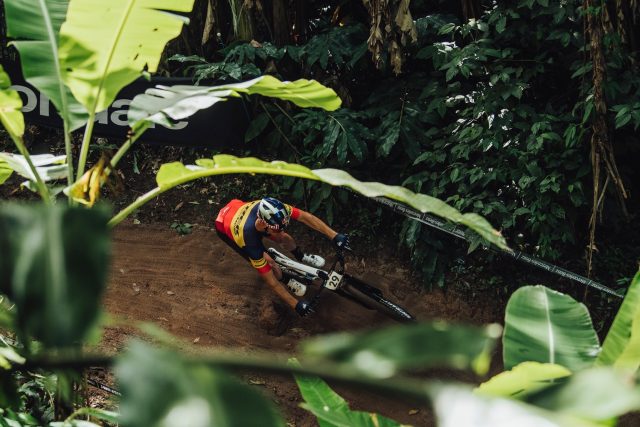 Vlad Dascalu - Petropolis