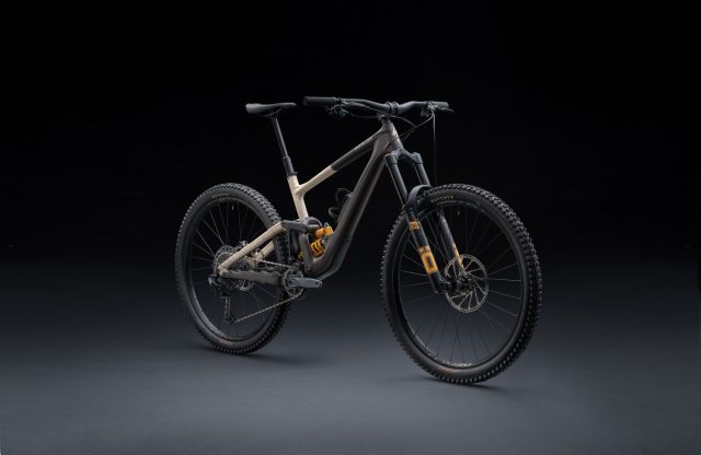 Specialized Enduro LTD - bici