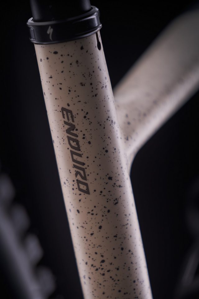 Specialized Enduro LTD - Frame