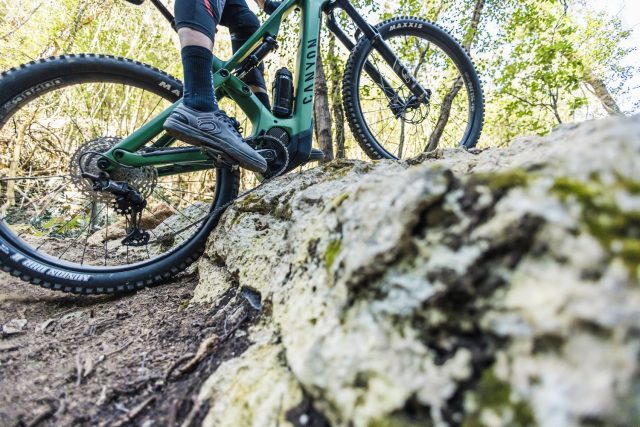 Canyon Spectral:ON CF My22 - action