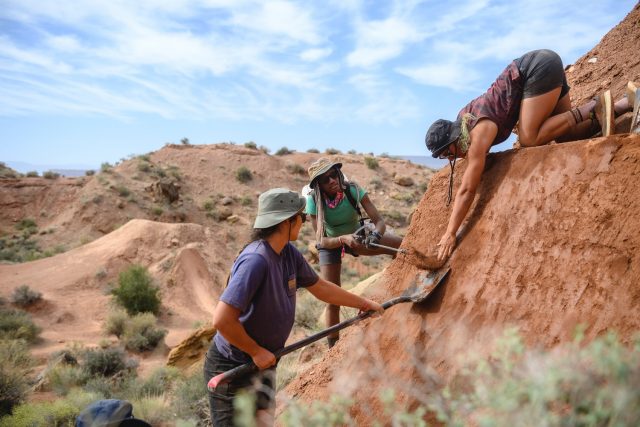 Red Bull Formation 2022 - trail building