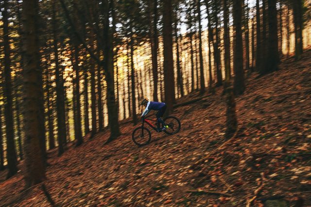 eBike Brinke X6R Race foto in azione in discesa nel bosco