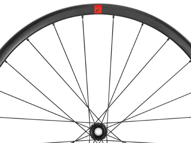 ruote da bici fulcrum speed 25 particolare cerchio