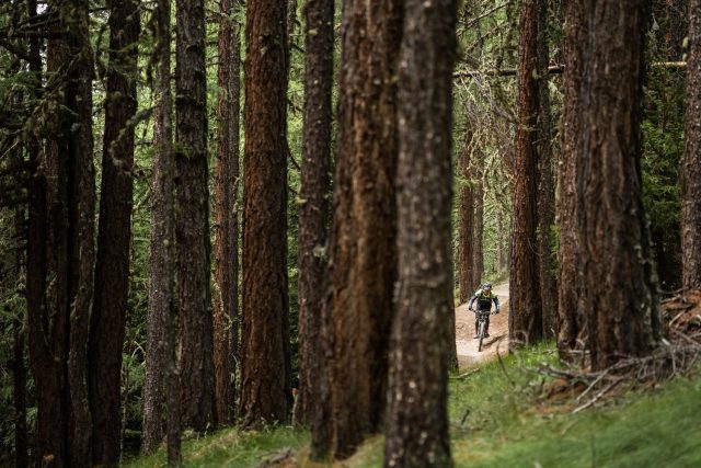 All Around eMTB Race report - day 4 - bosco