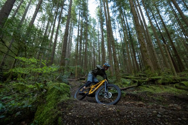 eMTB Light focus - action