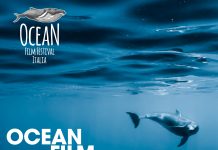 Ocean Film Festival