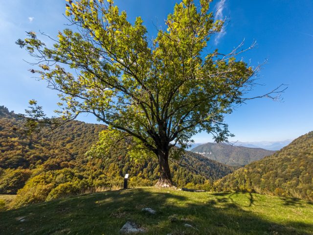 Valle Intenvi e-bike - panorama Alpe di Gotta