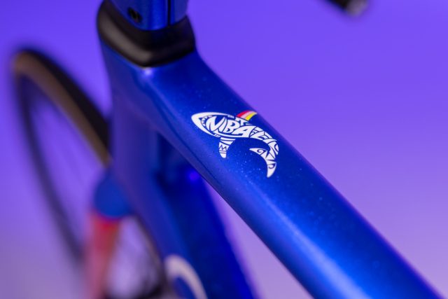 bici wilier per vincenzo nibali particolare squalo