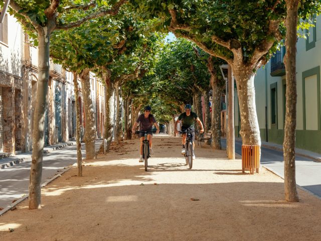 Shimano State of the Nation - e-bike indagine - 01