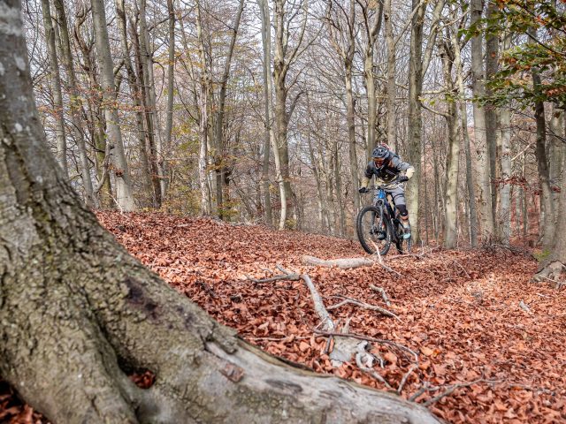 Cannondale Moterra Neo Carbon 1 eMTB - test - Cormore Trail