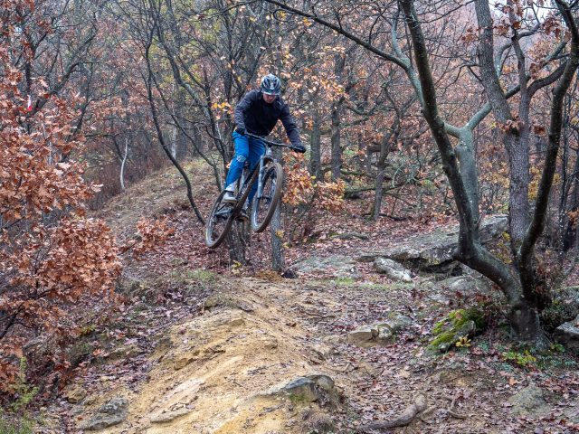 Pedroni Race, la rinascita - action salto 1