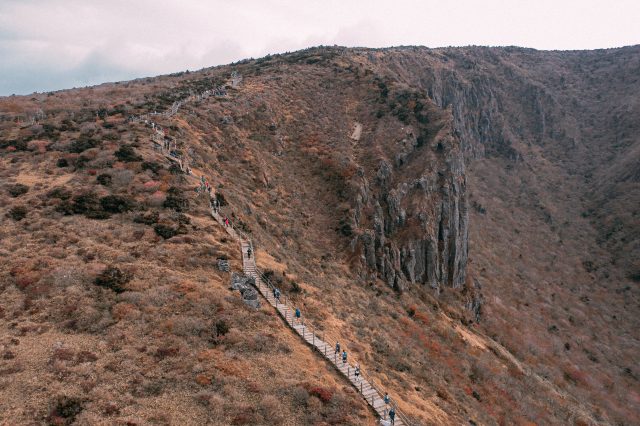 TransJeju, tutto incredibile