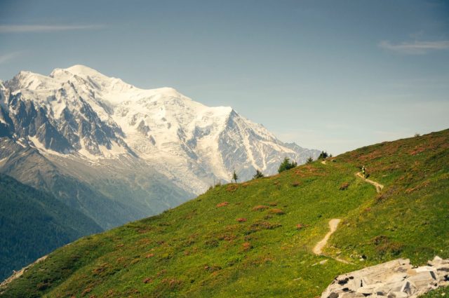 Pro Trail Runners Association 1