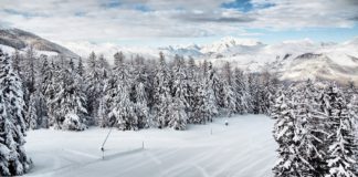 Pila