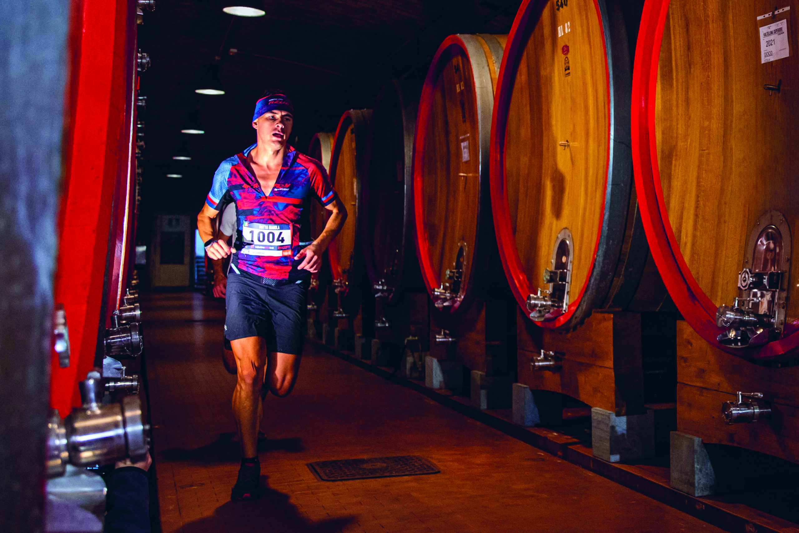 Valtellina Wine Trail