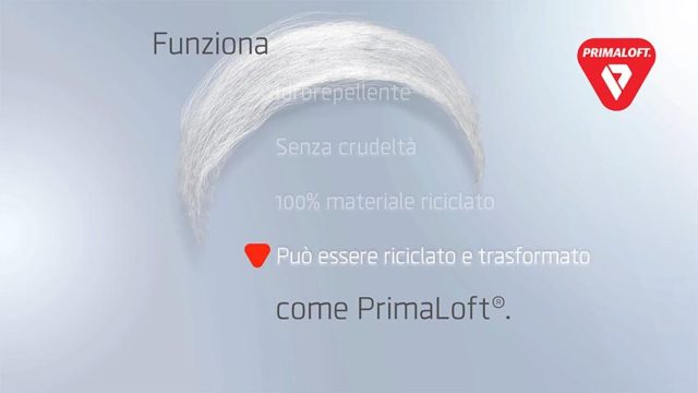 Circular_IT