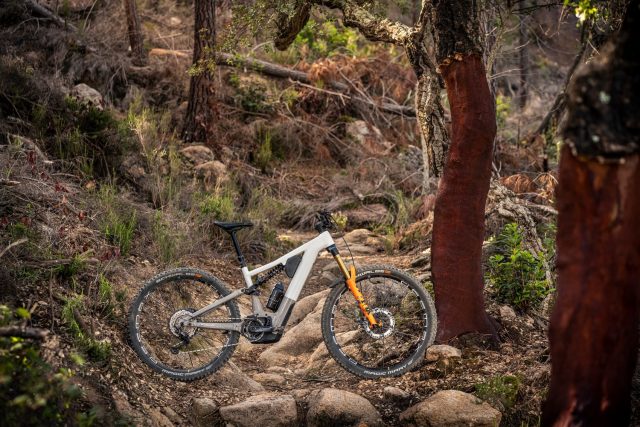 Focus Sam2 6.9 MY23 - lifestyle