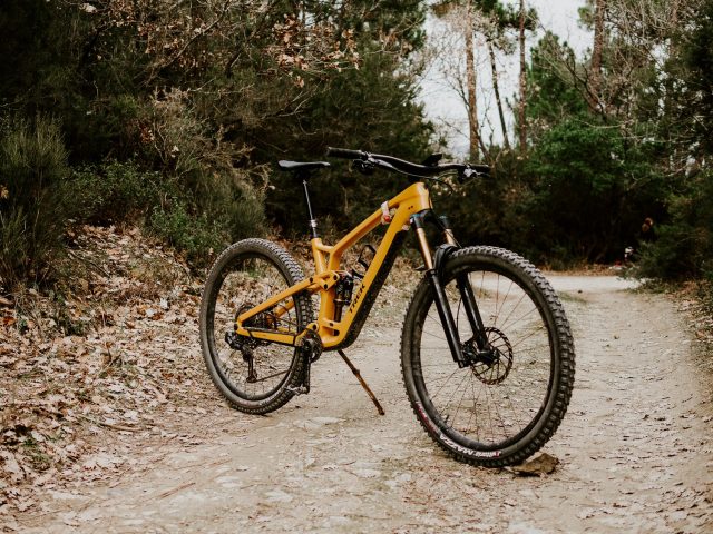 Speciale Bike Test - Trail - Trek Fuel EX 9.9 XX1 AXS - bici