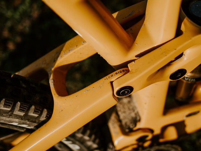 Trek Fuel EX 9.9 XX1 AXS - Speciale Bike Test - Flip Chip carro