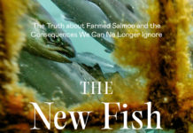 PATAGONIA_The New Fish